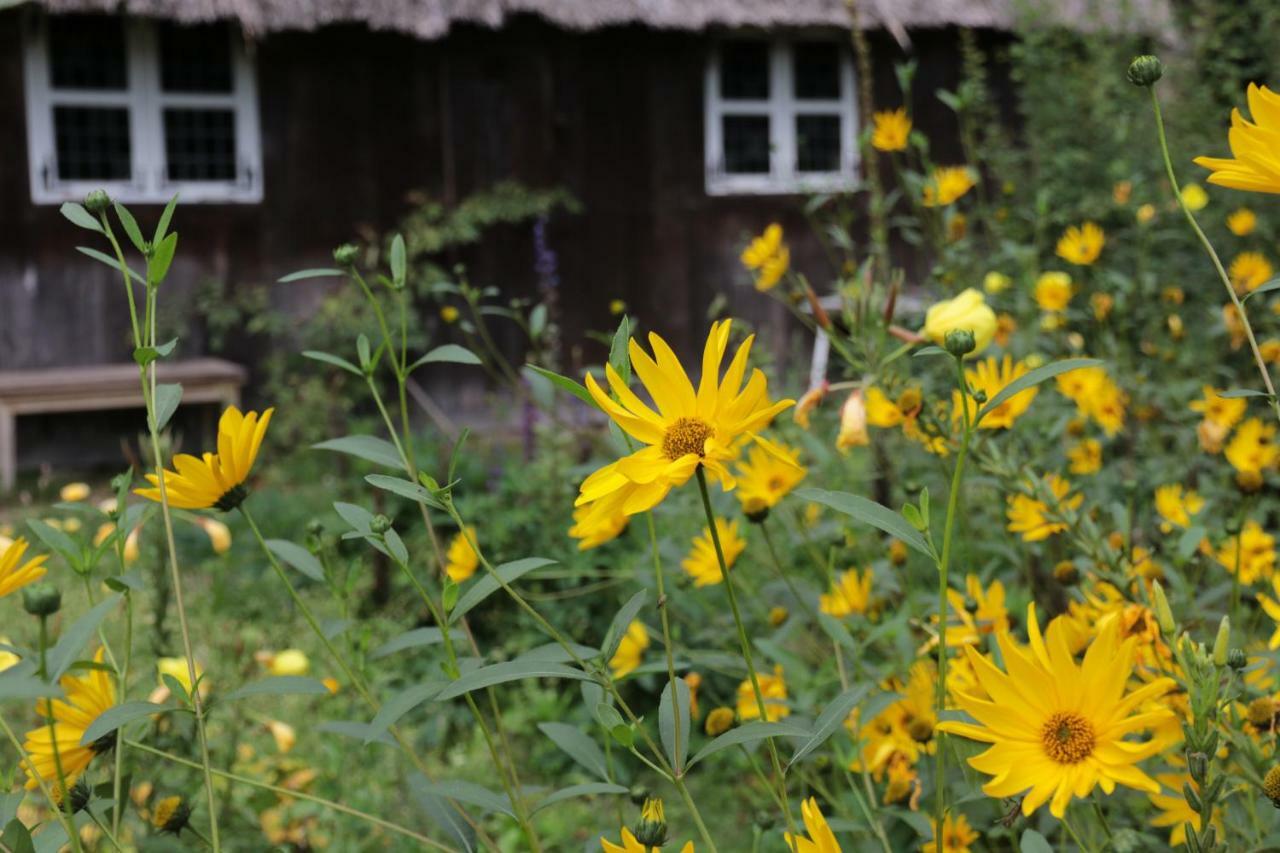 Ferienhaus Wahlers Биспинген Екстериор снимка